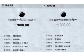 动物系列催收被报警后：行业监管与消费者权益的碰撞